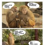 황사가 심하니 삼겹살이 땡겨요~ 개코원숭이 유세윤도? ㅎ