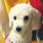 ★★★[경기 <b>안양</b>] 제발 한번씩 봐주세요!!ㅠㅠ★★★