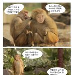 유세윤<b>병풍</b> 무릎팍에서 얘기좀 마니하라굿~~@!