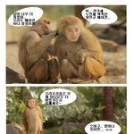 에어컨이 필요한 때가 된거 같아요. 하지만 늘 문제는 전기세.....