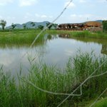 자유롭다. 그래서 나는  행복하다. NO11. 순천