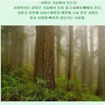 ★[펌] 우리가 몰랐던 <b>사실들</b>★