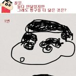 어느그림이 <b>짱구</b>를 더 닮았는지 톡톡님들의 의견을 듣고 싶어요~