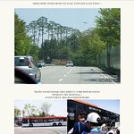 장미축제를 <b>블로그</b> 후기로 배웠어요.........데이트하고싶다 킁