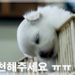 <b>저기요</b>...