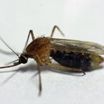 반드시 챙겨야할 여름<b>용품</b>들!