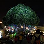 에버랜드 장미축제 현장 너무 아름다워+_+♥