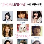 ㅁㅁ강아지상 <b>vs</b> 고양이상 <b>여자</b>연예인ㅁㅁ