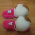 <b>찐빵</b>두개;;