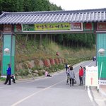 <b>보성</b> 다향제에서 본 쏘나타 하이브리드 !