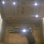 『대한의용군 참모중장 안중근 의사 전기』9. 미완의 동양평화론 (1)