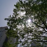 드라이에<b>이징</b> 스테이크,