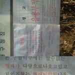 수락산조심해요..