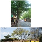 <<b>정동</b>극장 미소 MISO 춘향전> 나는 배우다 조연이 더욱 빛나는...