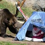 캠핑하는 부부를 괴롭힌 말하는 곰