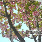 루믹스 GF2로 <b>STORY</b>찍기 -능동 어린이대공원