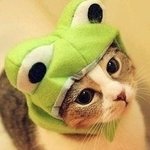 ♡3♡<b>버디</b>버디로 고백받은 후 쭉이어지고있는 동갑남과의 알콩달콩 사랑이야기♡