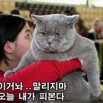 아 저 18 <b>가시나</b> 저거진짜