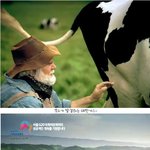 <b>쏘나타</b> 하이브리드의 친환경성을 나타낸 광고