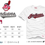 클리블랜드 인디언스 반팔티 한번 봐주세요~