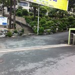 일요일날 <b>천사</b>를 만나고 왔습니다..