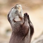 우리<b>아들</b> 엄친아를 만들고 싶은 엄마의 <b>욕심</b>!!