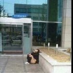 정호의 똥<b>실신</b> 2탄