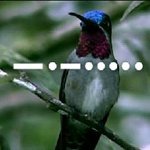 친환경 차량의 대세는 K5 하이브리드가 아닐까 싶네요