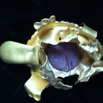금 팔려다 당한 황당한 사건 - 사진 有 (집에 있는 금 <b>확인</b>要)