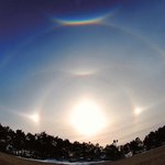 이 놀라운 사진을 당신은 어떻게 생각 하십니까?