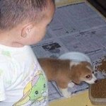 눈치를 보는듯한 표정의 귀여운 <b>동물</b>들