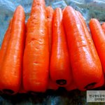 미치도록 잠이오면 <b>자야</b>되는거 맞지?
