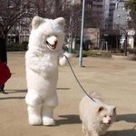 강아지를 사랑한다면.. 이정도는해야