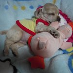 ㅇ_ㅇ <---이녀석 닉네임변경합니다!!!!!!!!!!!!!!!...
