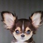 좋은 아침입니다...ㅇ_ㅇㅋ;;