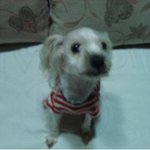 ★후기★ (나리 찾았습니다!! 고맙습니다^^)가족을 찾습니다.