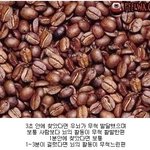 당신의 뇌 <b>발달</b> 상태는.......???