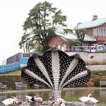 인도 타밀에 사는 머리가 <b>다섯</b>인 파충류 왕