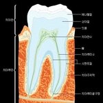 이하나누드사진 이라는 게<b>시물</b>을 보고하는 짓거리