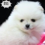 <b>아우</b>~~~~졸려 미치겠음