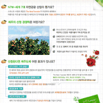 ★★★제발 한번만 보고가★★★세계 7대 자연경관 <b>제주</b> 투표!!!