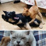 20대 이야기를 <b>정화</b>하겠다.