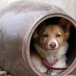 결혼교배 개독교회나이트 결혼교배정보<b>업체</b>(주)