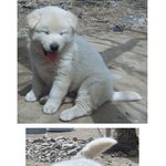 <b>반응들</b>이 좋으셔서 하나더!!!+_+