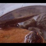 [3탄]★☆★(사진 有)다필요없고 진정한 여고의실체★☆★