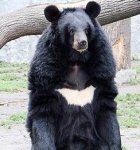 축구보러갈사람있음..?(<b>부천</b>)