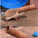 ☆★☆샤워할때초공감100%?아니죠120%맞습니다★☆★