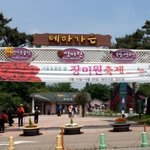 서울대공원 <b>장미</b>축제를 다녀왔습니다