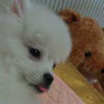 재치만점 귀요미 엄마아빠♥