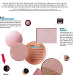 고현정,한지혜,<b>김남주</b>, 그녀들이 쓰는 블러셔는? 
